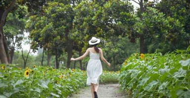 未厌学，在情感的海洋中航行