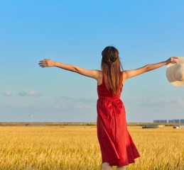 树的社交恐惧，我们如何在情感的森林中寻找自我