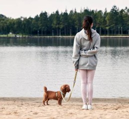 从社交恐惧到自信满满，战胜内心的小怪兽