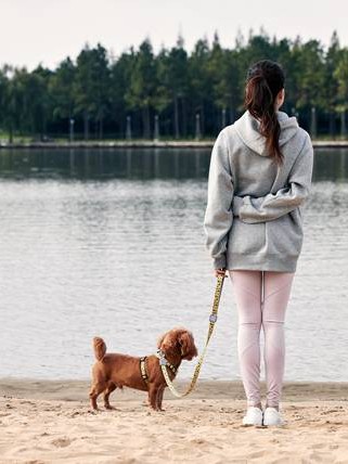 从社交恐惧到自信满满，战胜内心的小怪兽