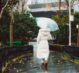 郑爽的社交恐惧症，从星光熠熠到自我封闭的心路历程