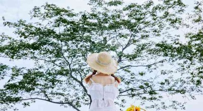 江疏影的社交恐惧症，从银幕女神到真实自我的探索之旅